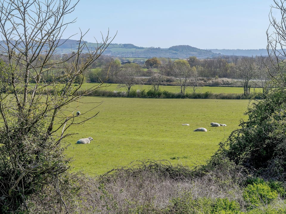 View | Rathlin Cottage, Cambridge, near Lower Cam