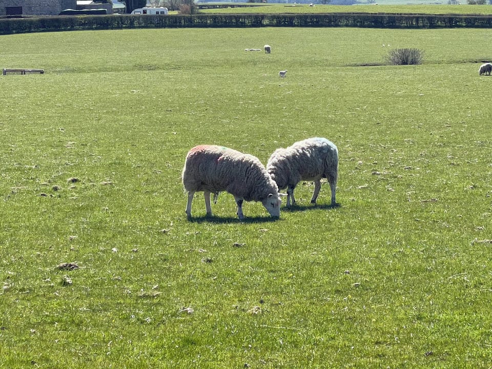 Surrounding area | Penny Black Cottage, Thornton in Lonsdale, near Ingleton