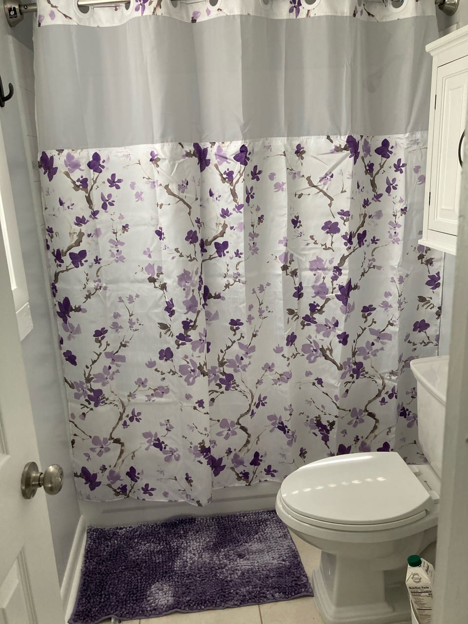Downstairs shower and tub