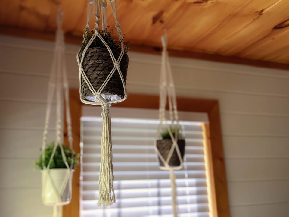 Nice touch of hanging plants