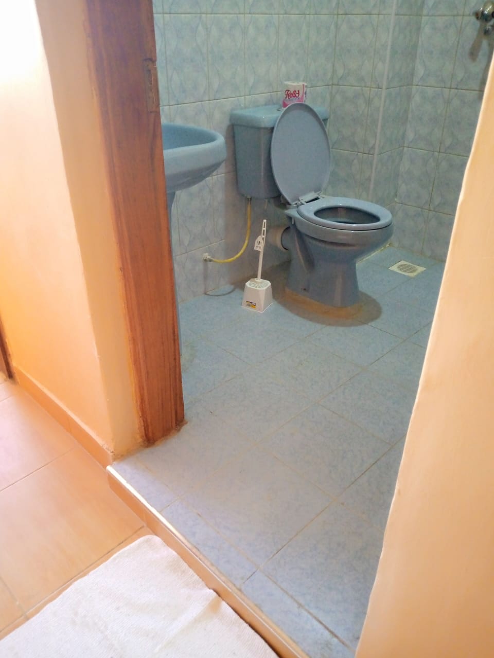 Deluxe Double Room | Bathroom | Shower, free toiletries, towels