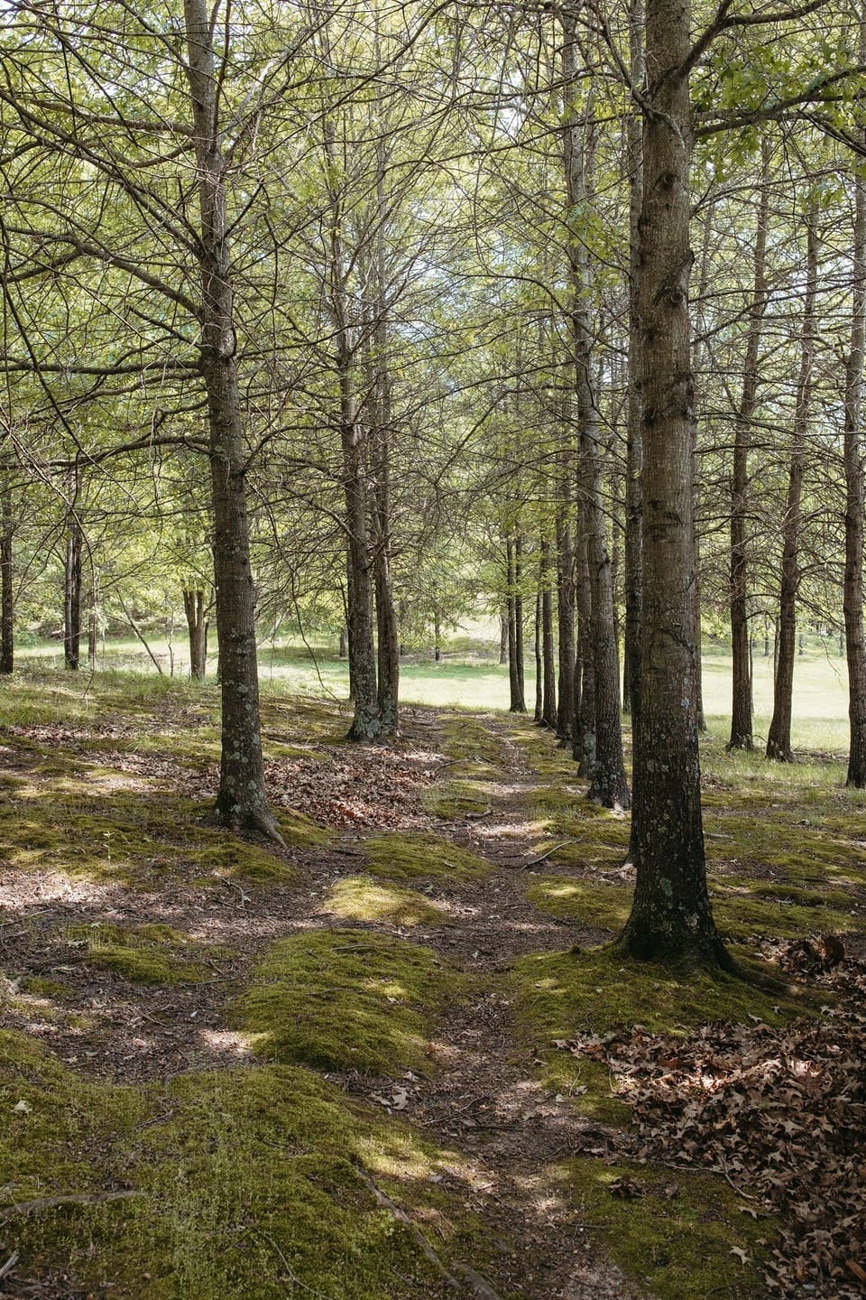 Outdoor scenery