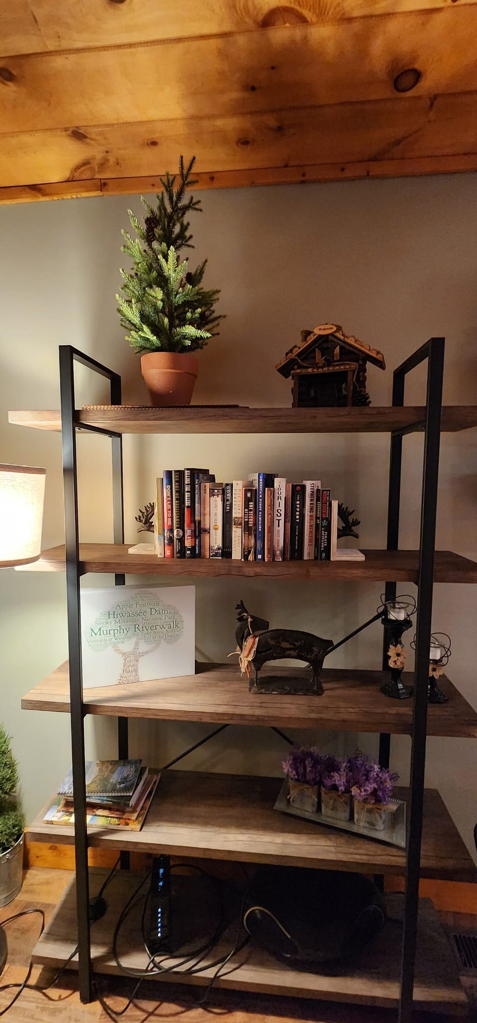 A great selection of books awaits, perfect for reading on the front porch