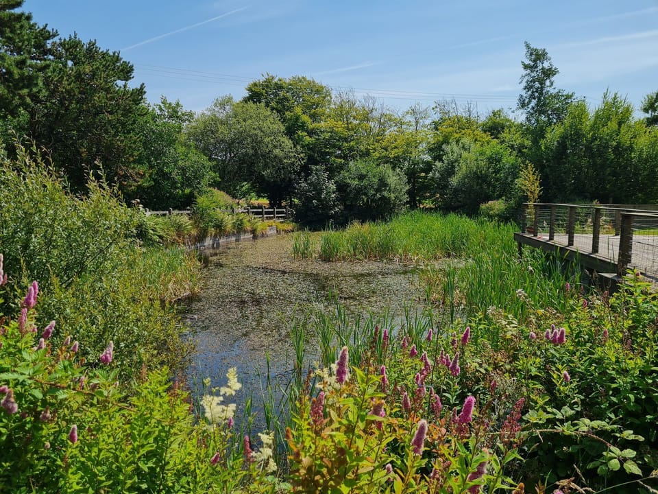 Villa | Property grounds