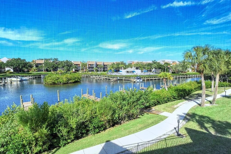 Enjoy your afternoon walk by the water
