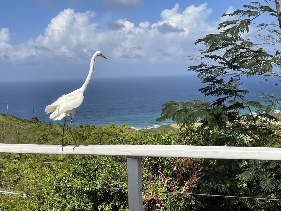 View from property