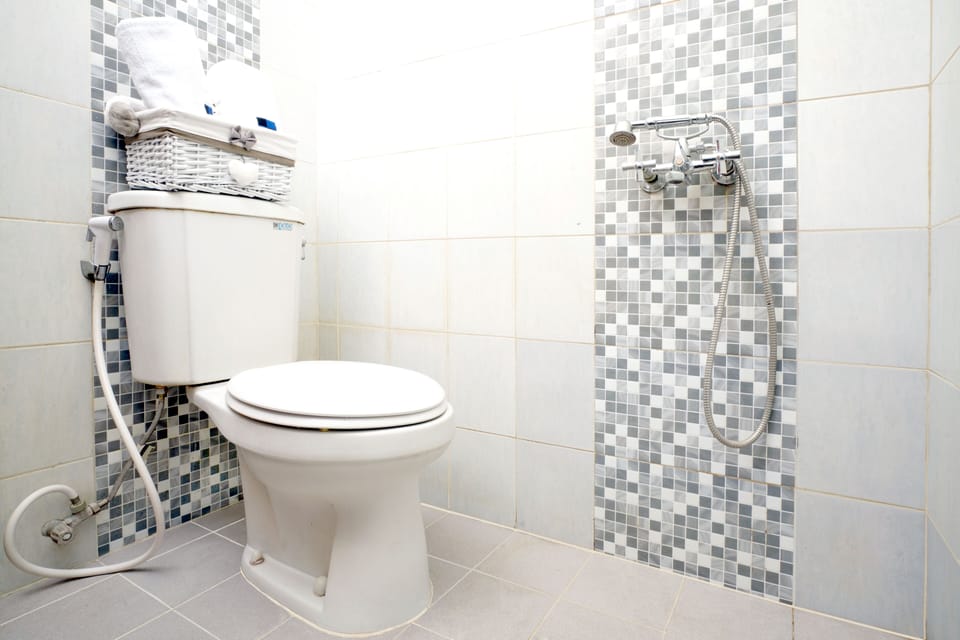 Deluxe Room | Bathroom | Shower, towels, soap, shampoo