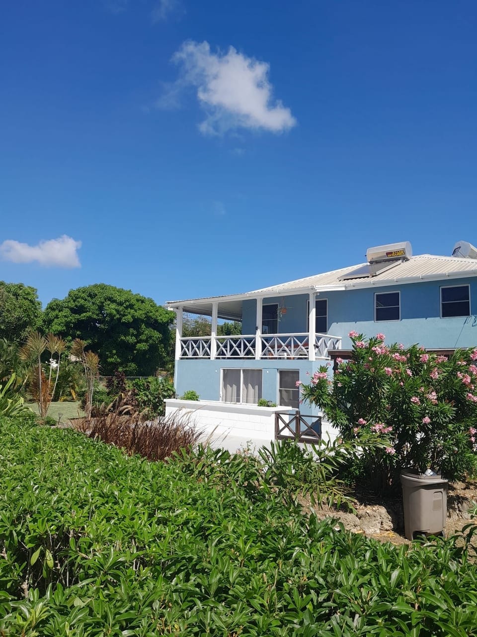 View from front garden