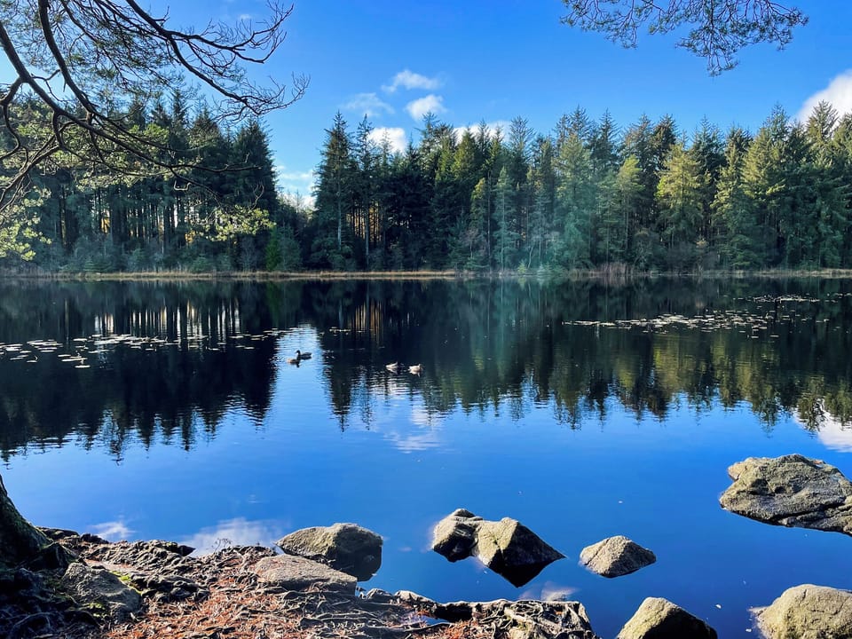 Dalbeattie loch | Craigrannoch Cottage, Rockcliffe