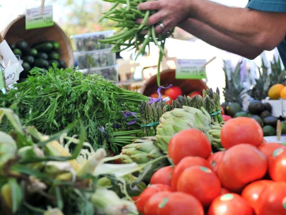 Downtown Sarasota farmers market 