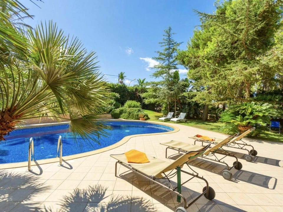 Plant, Water, Sky, Property, Plant Community, Swimming Pool, Shade, Outdoor Furniture, Natural Landscape, Tree