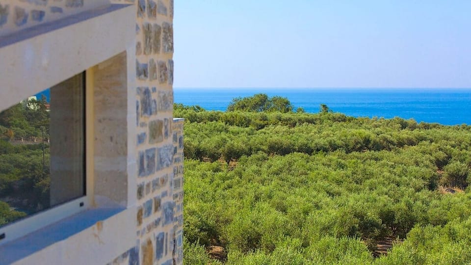 The nature around the villa