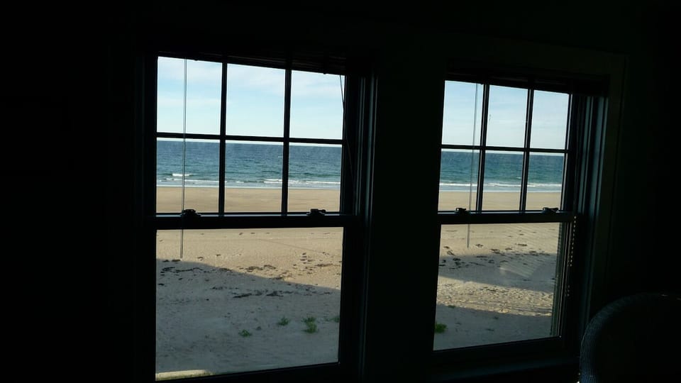 View from dining room.