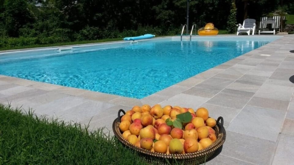 The pool with our apricots!