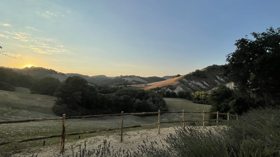 The view from the house