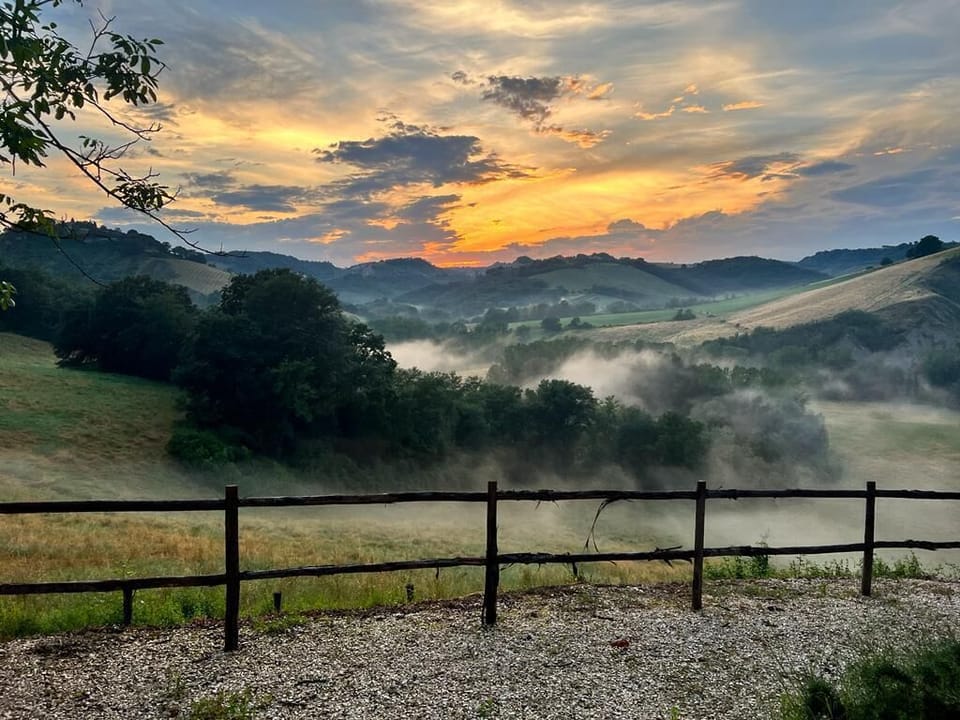 The view from the house