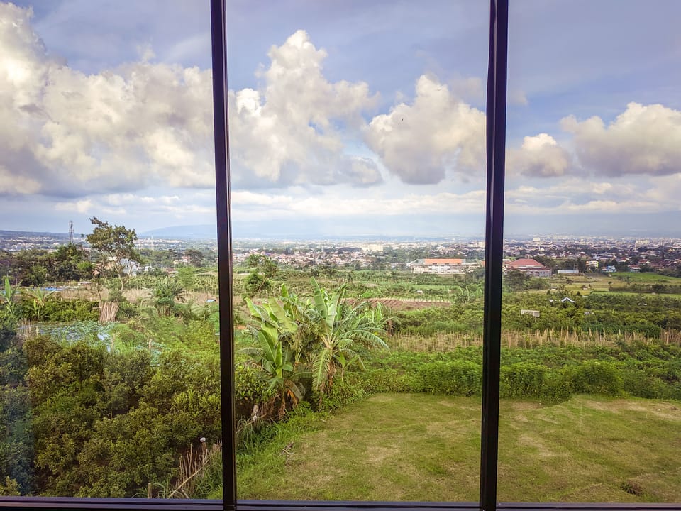 View from room