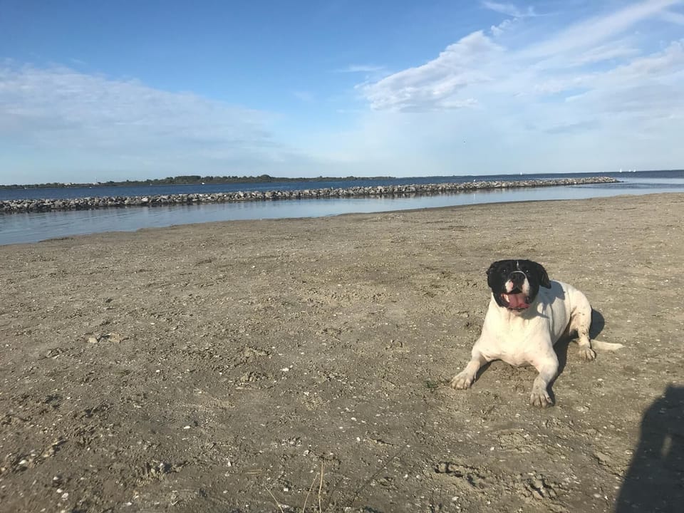 Beach