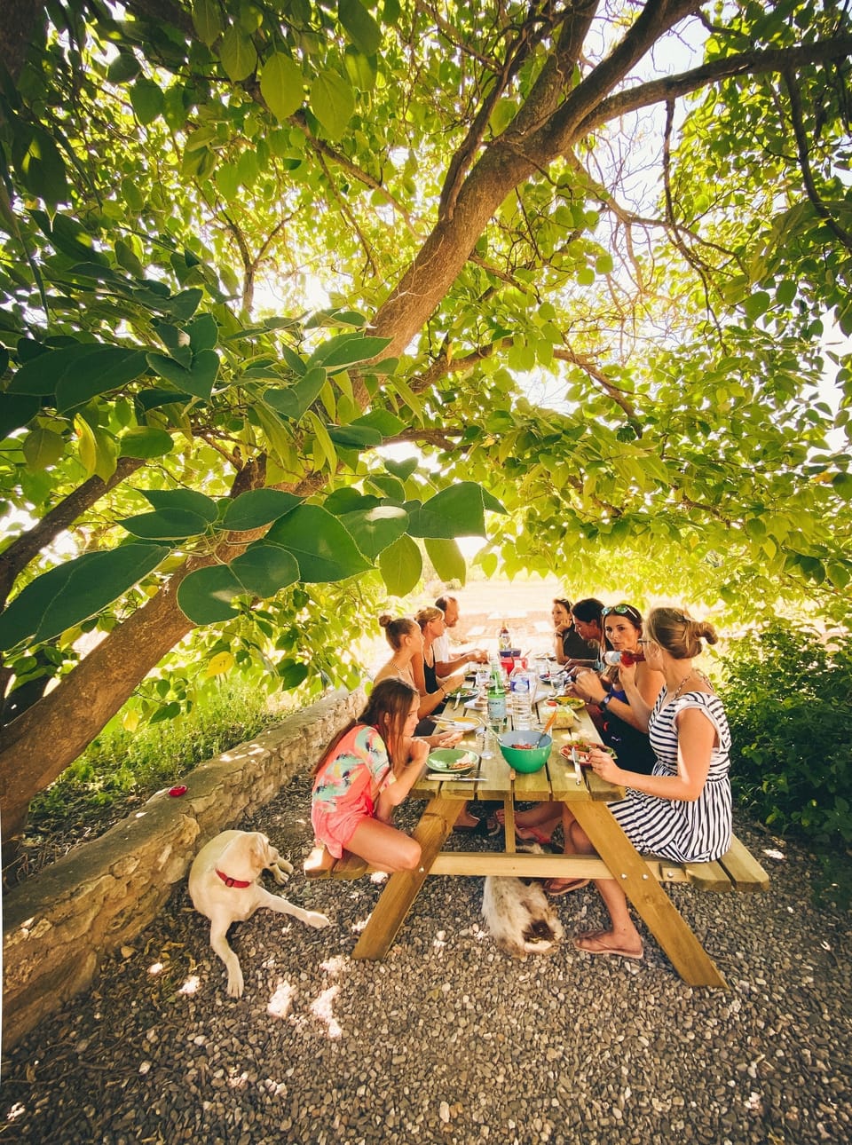 Outdoor dining
