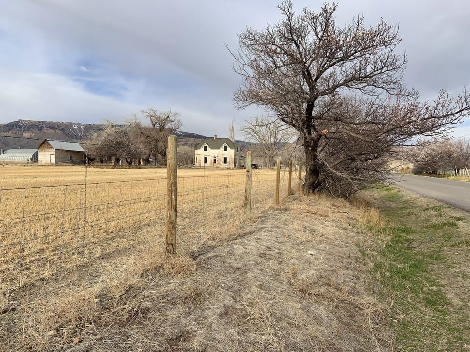 Property surrounding the home