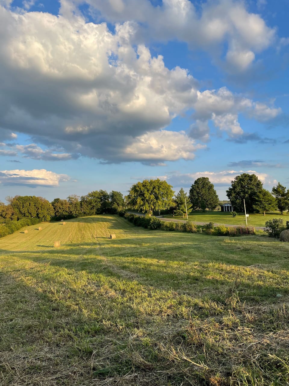 Farm view across from guest home 
