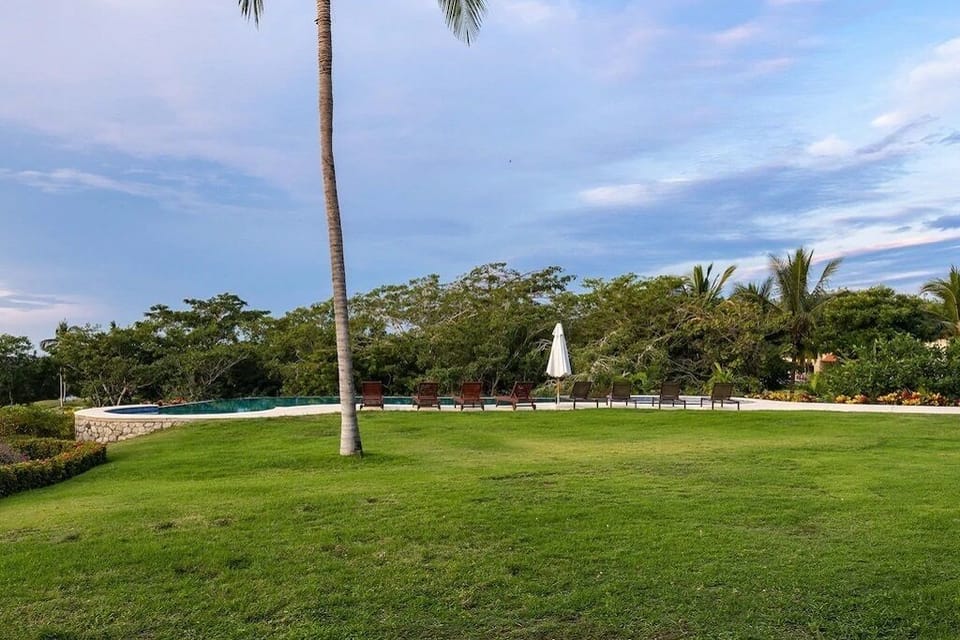 back yard and pool