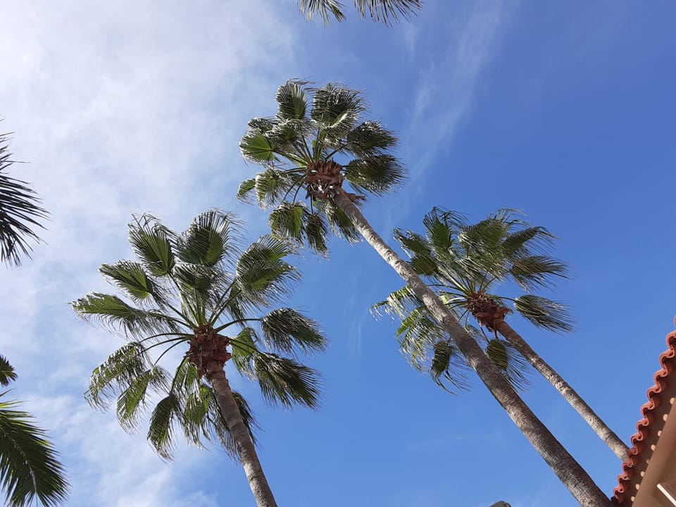 3?  views from a hammock