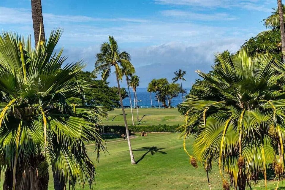 Ocean View