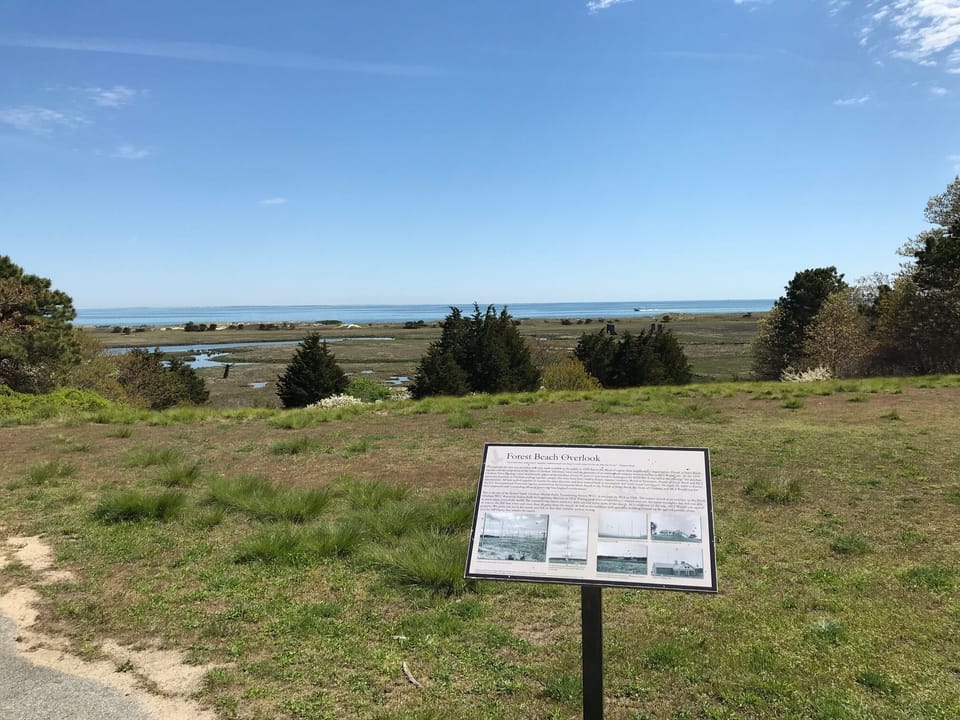 Forest Beach conservation area overlook.