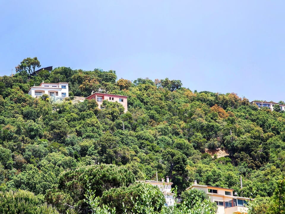 Sky, Plant Community, Plant, Building, Tree, Natural Landscape, Window, Land Lot, House, Grass