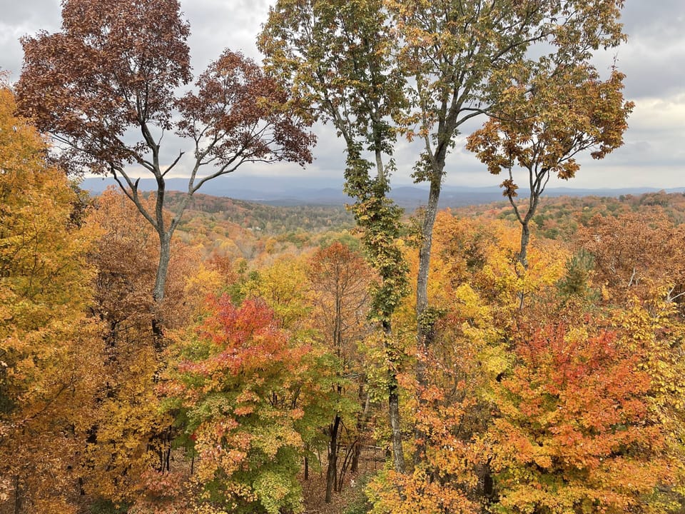 View from back deck in the fall