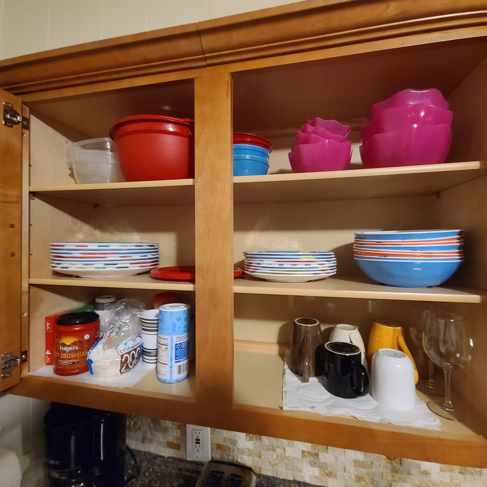 New eating dishes 