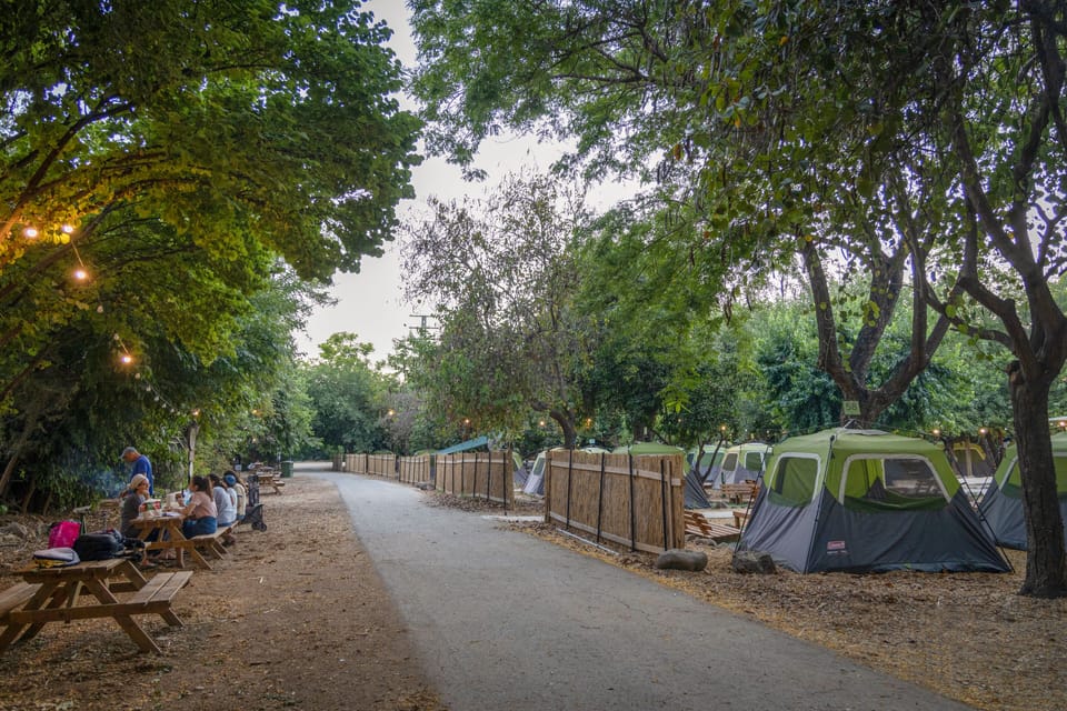 BBQ/picnic area