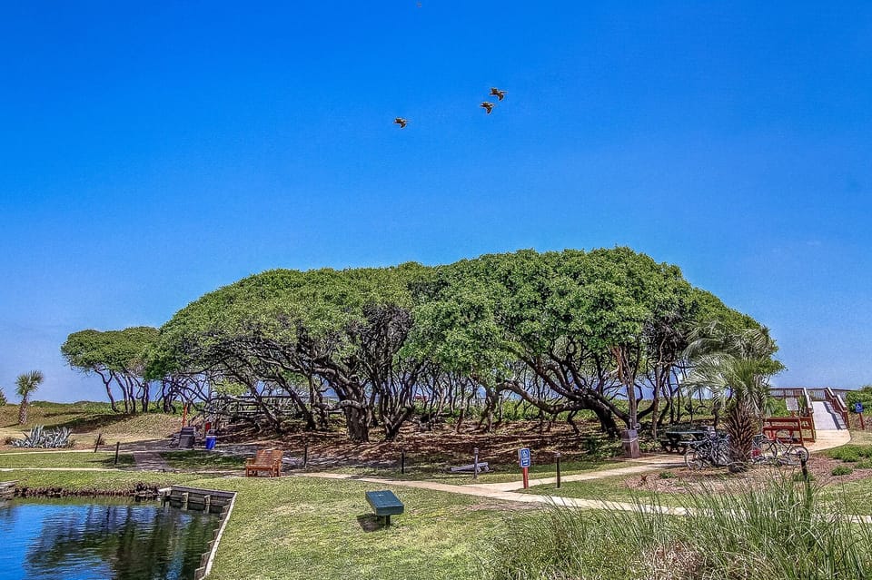 Island Club