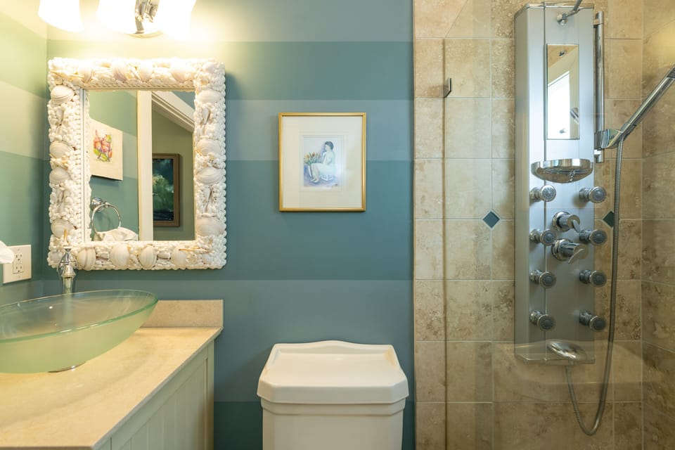 Guest Bathroom 