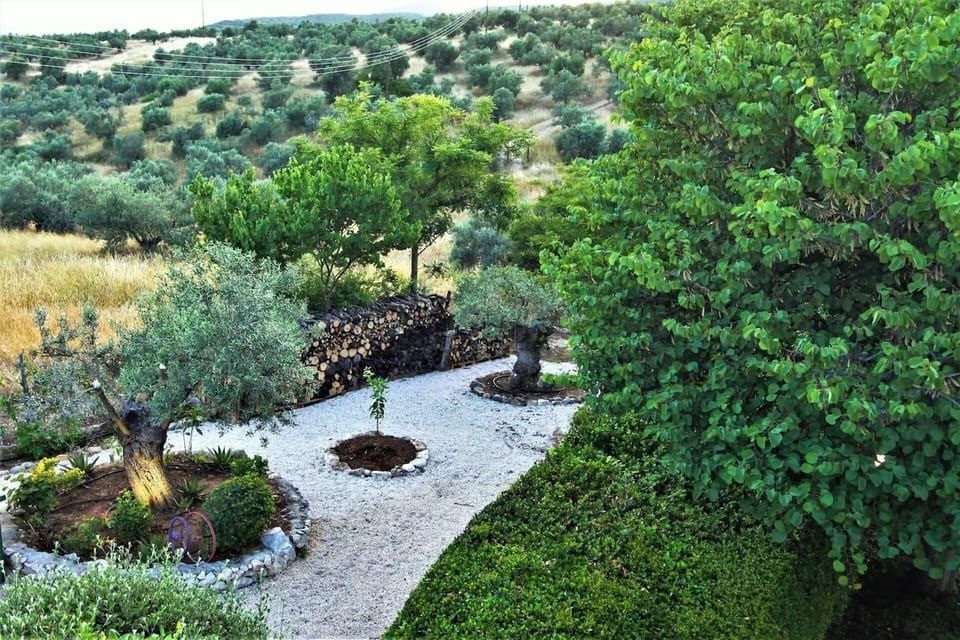 Villa | Property grounds