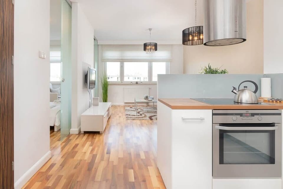 Coherent combination of kitchenette and living room.