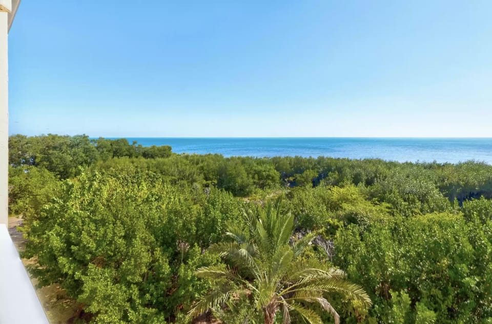 View from balcony