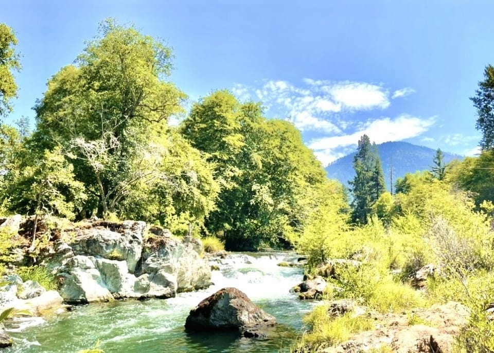 Property has over 400LF of river frontage including some white waters