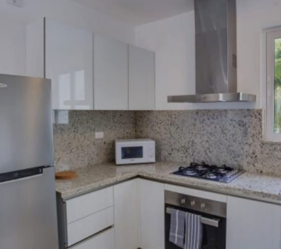 Deluxe Apartment | Private kitchen