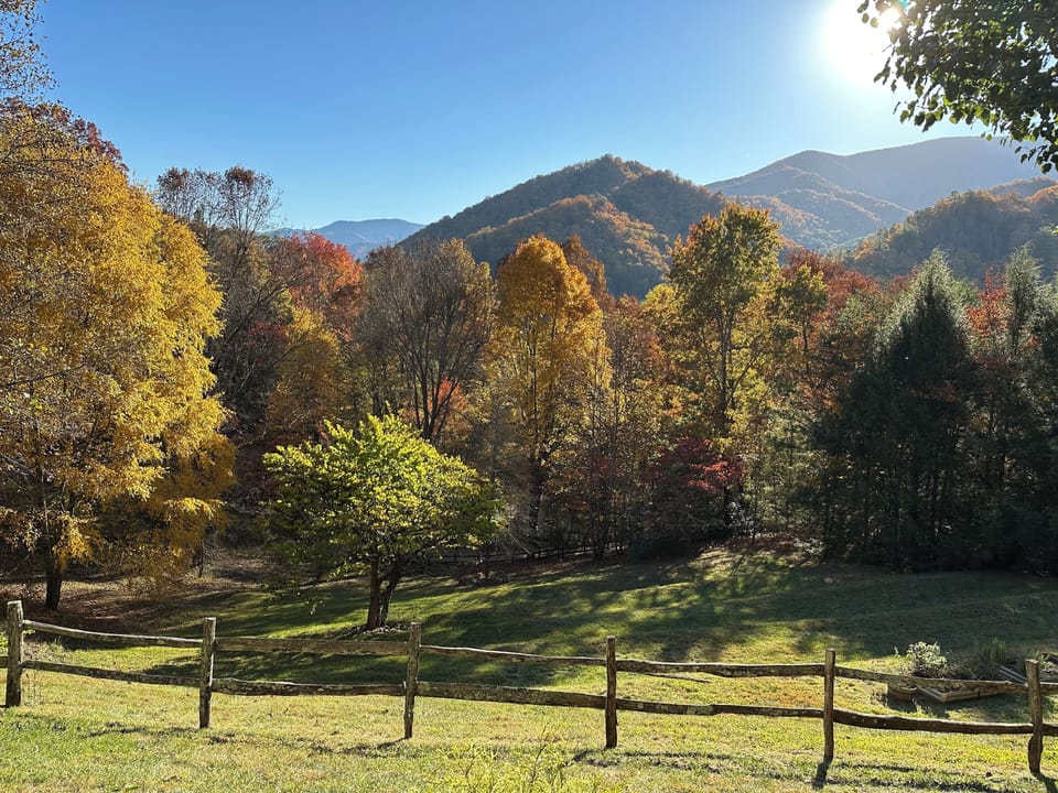 Fall color from Chestnut House front porch