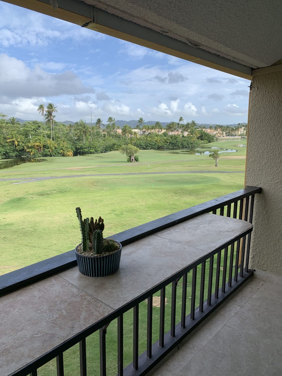 Golf course view