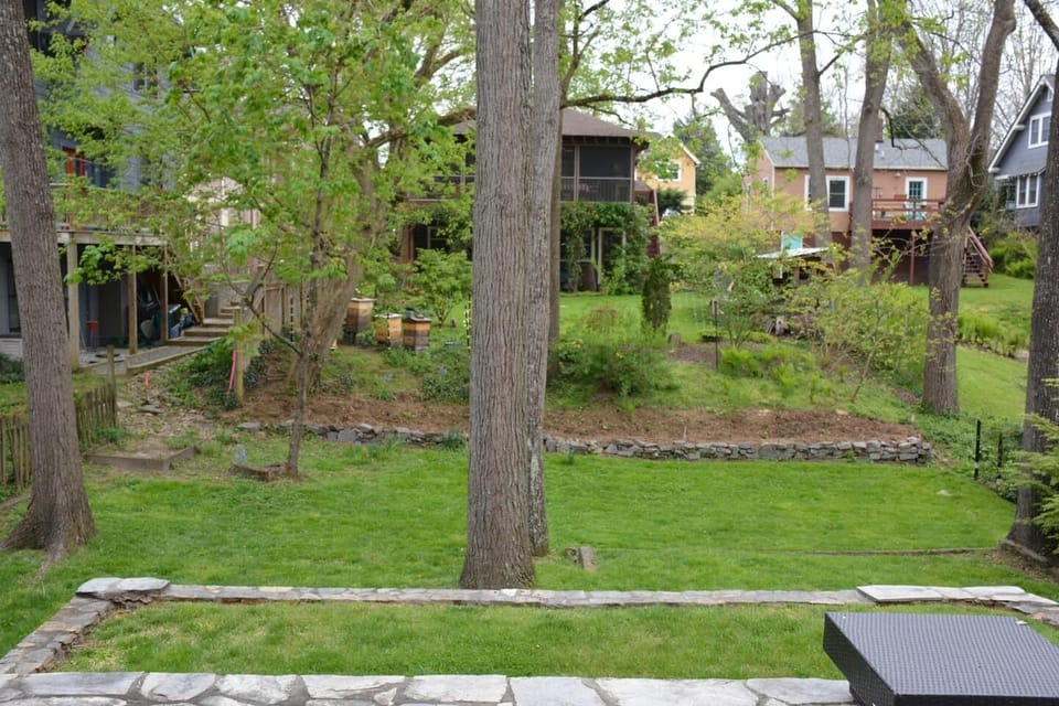 Yard with Patio
