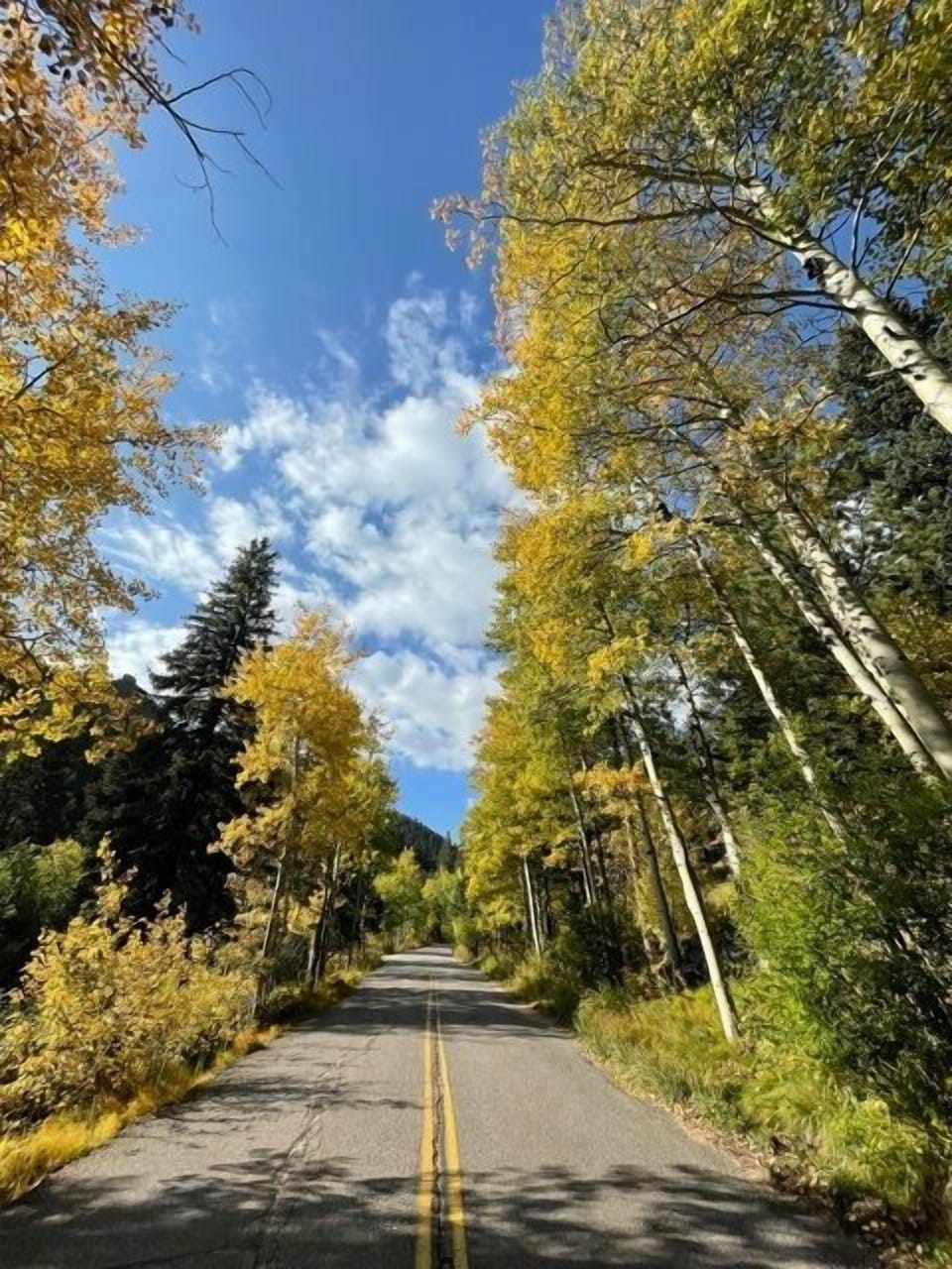 Fall Foliage on Riverside Drive