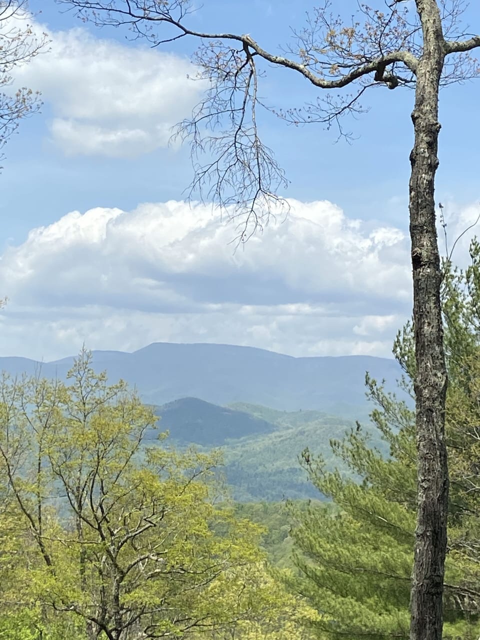 Fabulous view from deck