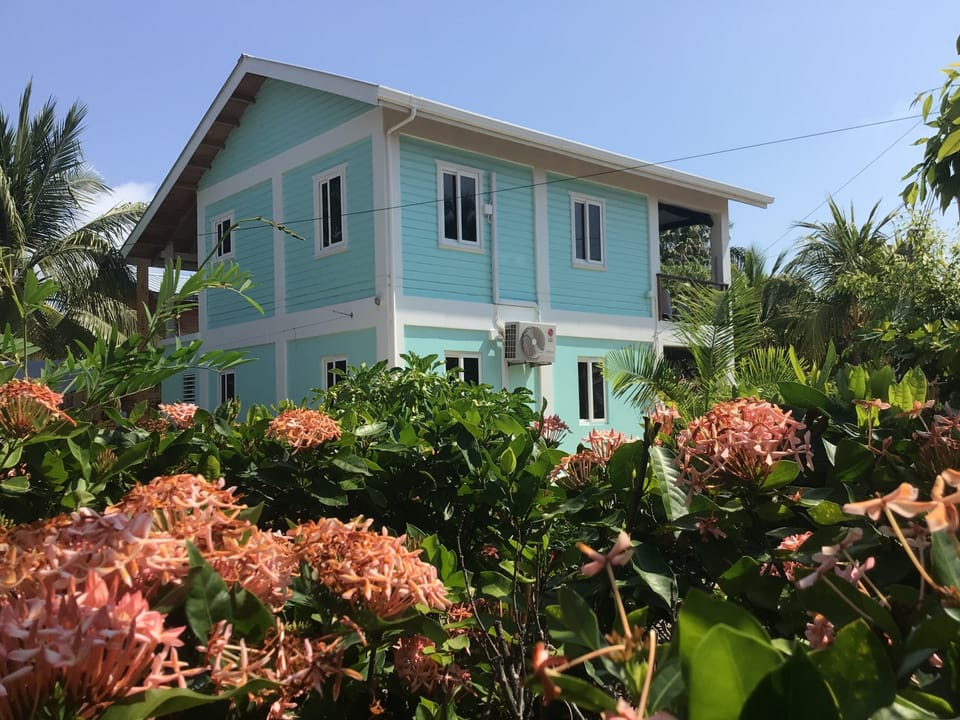 Looking at the house from the sidewalk