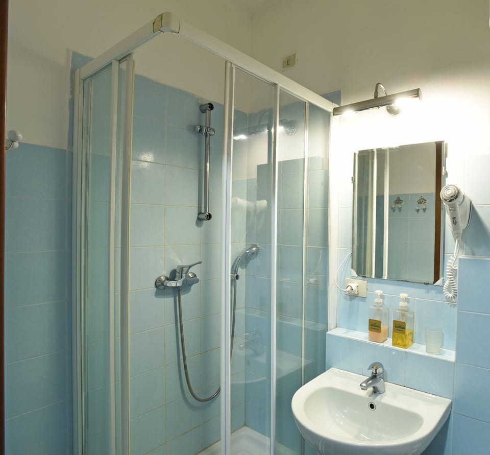 Standard Double Room | Bathroom | Shower, hair dryer, bidet, towels