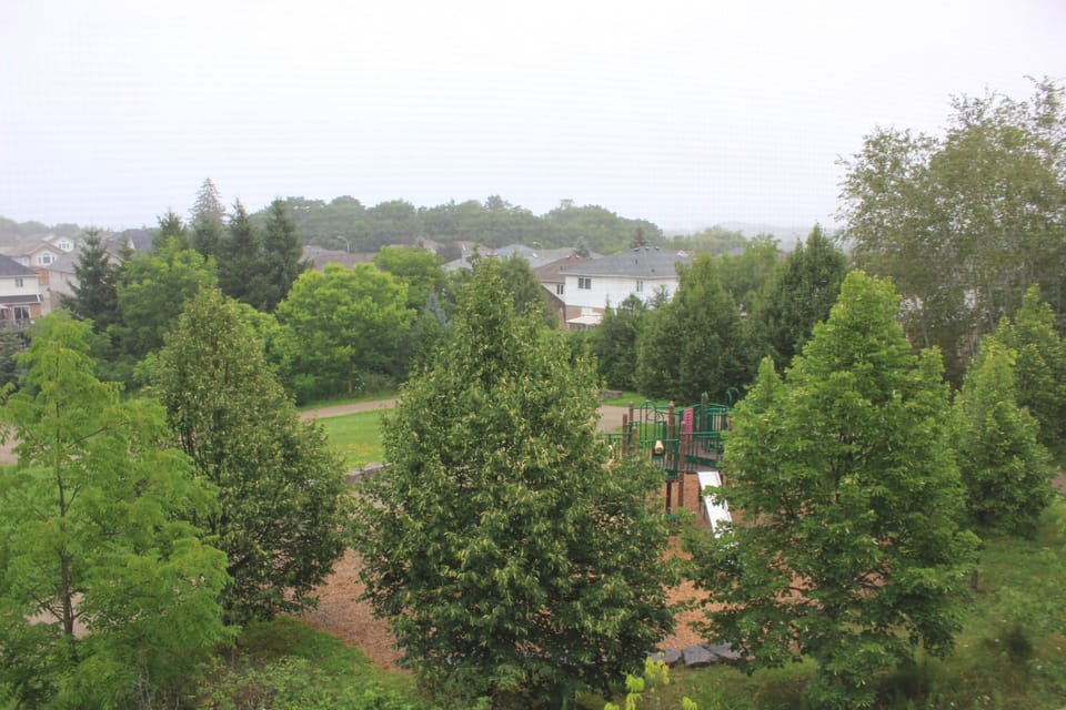 View from room