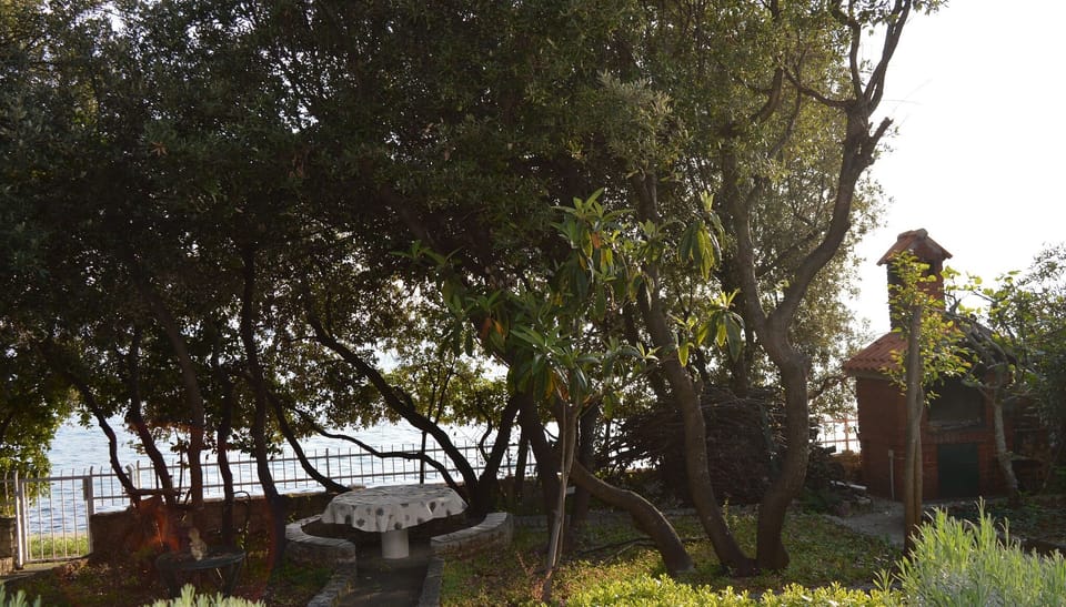Apartment, 1 Bedroom, Terrace, Garden View | Property grounds