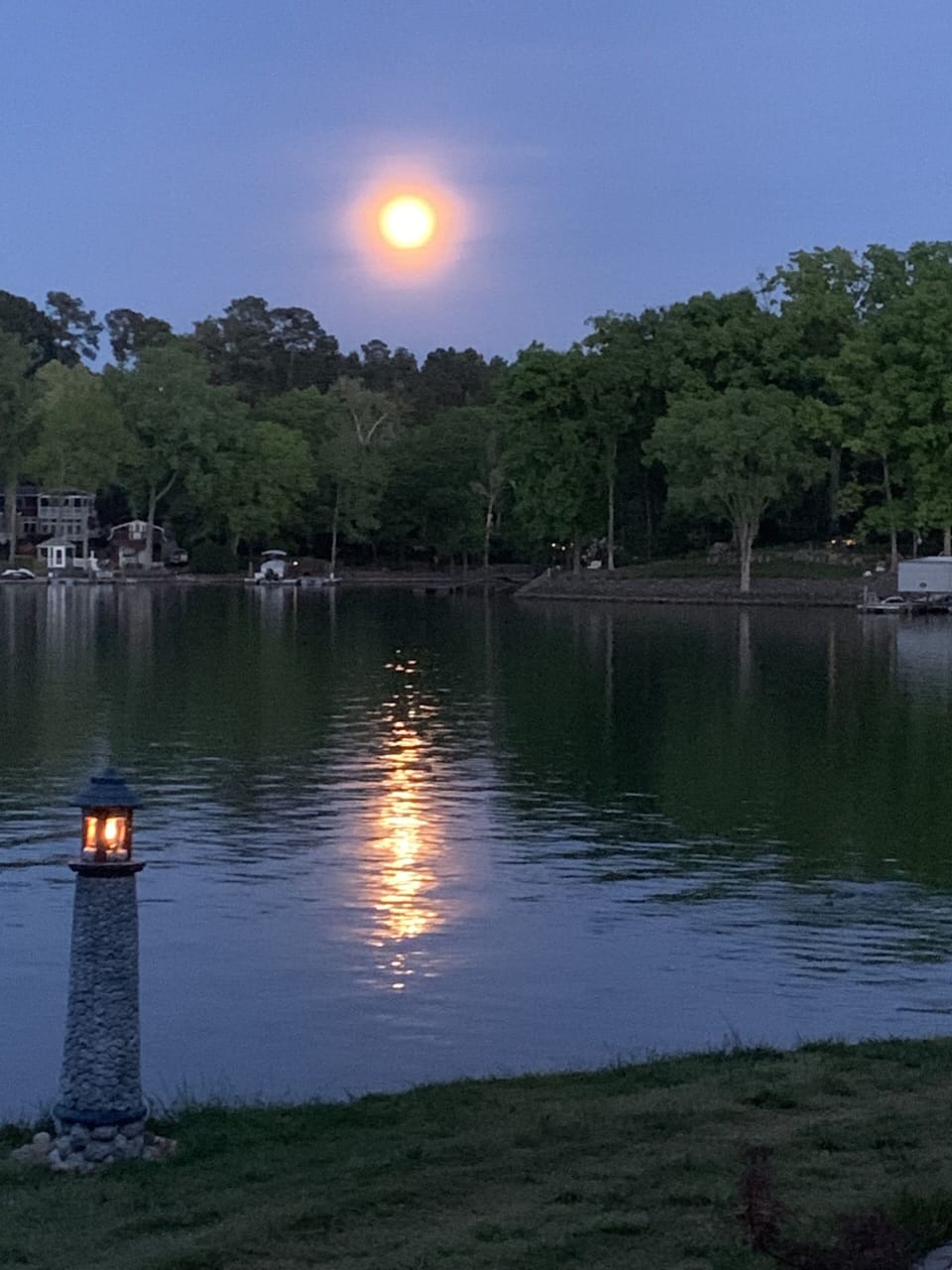 Pink Moon View